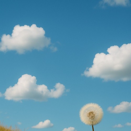 when the wind took you