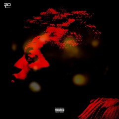 2020 FREESTYLE