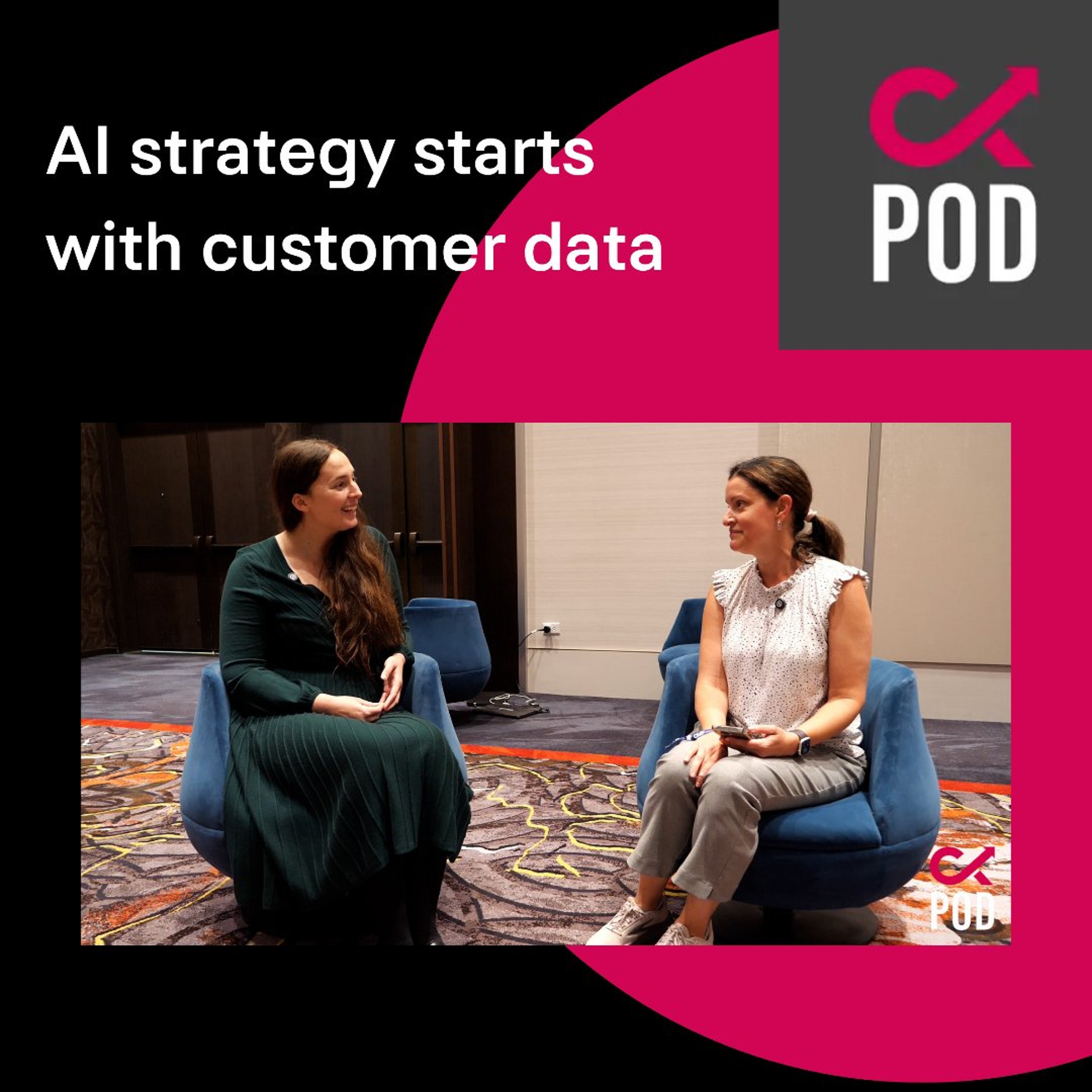 AI strategy starts with customer data episode artwork