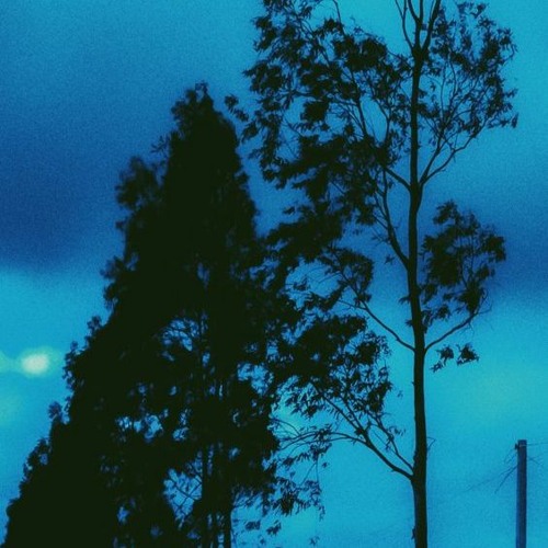 w i n t e r.