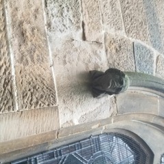 FNOOB 014 - Abuse your confusion 12/22