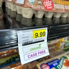 50 BUCKS TO MAKE AN OMELET