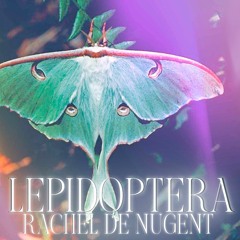 Lepidoptera (no vox)