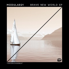 Modular21 - Brave New World