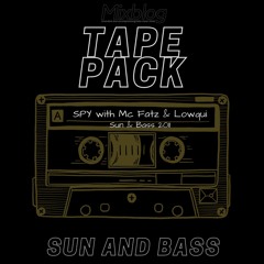 SPY and Mc Fatz & Lowqui - Sun And Bass 2011