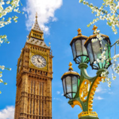 INTERACTION 116 p8 NEWS - Parliamentary Champions and Delivery Plan