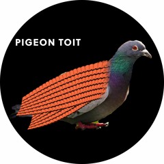 PIGEON-TOIT [FREE DL]