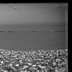 Relive That Dazzling Moment 020921