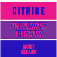 Am I Always This Gay