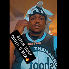 D Grittie Bitch How Could U Mix