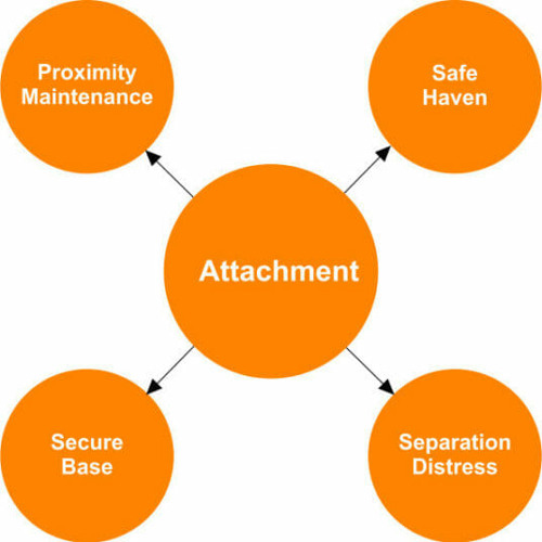 Attatchment Theory