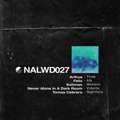 Never Alone In A Dark Room - Vidente [NALWD027]
