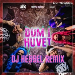 Dum I Huvet - Coola Kids, Trippel Trubbel, Kiran (DJ Hessel remix)