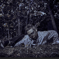 2. Vindictive prod.(6l3xry)