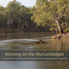 Morning on the Murrumbidgee River, NSW, Australia