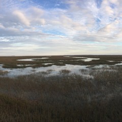 Into the Red Marsh Mixx