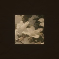 день был такой прозрачный