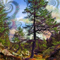 trip through the technological forest  ￼