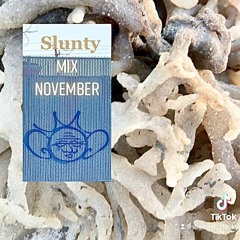 Slunty 'Mix November (2)' ⓜⓘⓧ ̵͔͑0̵̟͐4̸̫͕̽1̷̖̂