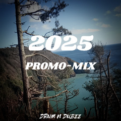 2025 PROMO-MIX