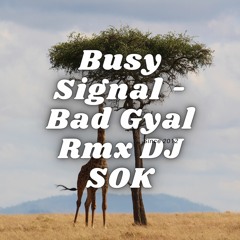Busy Signal - Bad Gyal Rmx DJ SOK