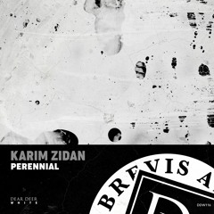Karim Zidan - Granular (Original Mix)