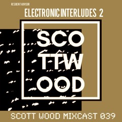 Interludes part 2 - Ambient Mix | Scott Wood Mixcast 039