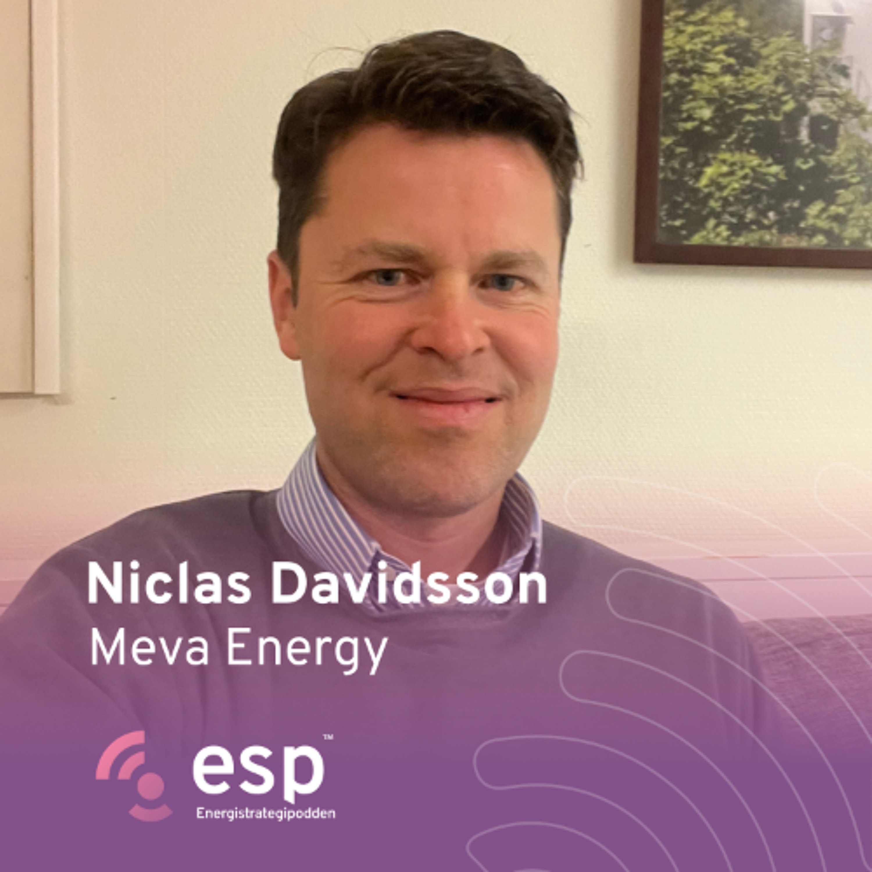 #355 - Niclas Davidsson, Meva Energy episode artwork