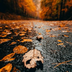 Summer End to Autumn Rains