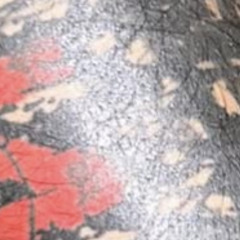 COOKIECCRIPS  ft polojoyl ( prod millieu juste ) (mqt)