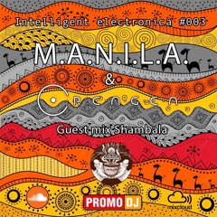 DJ M.A.N.I.L.A. & PERCUSSION CREAGEN DOWNTEMPO GUEST  MIX SHAMBALA 10.03.2024