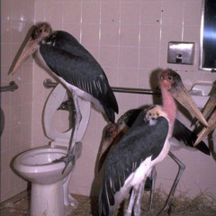 Classical Music Rewind! [BASS CANON] NSFW [SEXUAL](ft. Beethoven, Mozart, Tchaikovsky, and MORE) | July 29, 2016