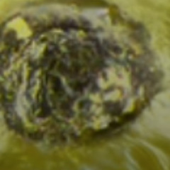 Digital Analog 10101010