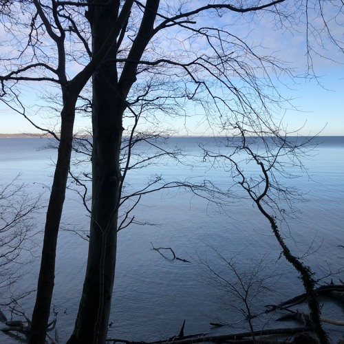 Klimaforandringerne er topprioriteten hos danskerne, men ikke i resten af EU