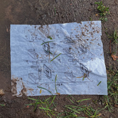 the stopgap pupates from its chambers