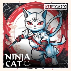 Ninja Cat (Unreleased)