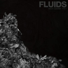 Fluids - Life spent