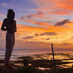 The Âlchemyst - Feel At The Heart Of The Night (Original Mix)