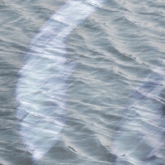 Untitled Animoog Z demo