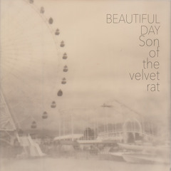 Beautiful Day (feat. Jolie Holland)