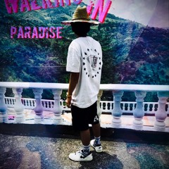 WALKING IN PARADISE (TIAGO CARDONA DJ)