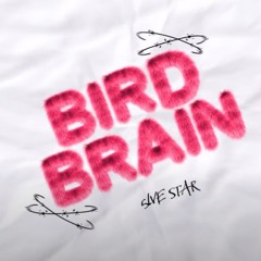 bird brain 🅴