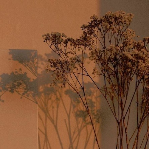 Tấm Thân Dãi Dầu [Lofi Ver] - Phát Huy T4 x Vux