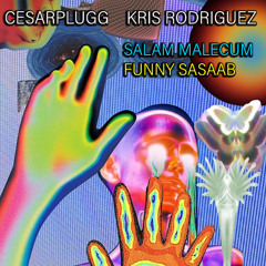 Cesarplugg Kris Rodriguez " Funny Sasaab" (Kris Rodriguez Mix)