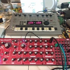 Behringer Neutron - Rhythym Acid