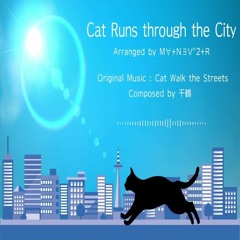 Cat Runs Through The City