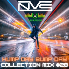 Hump Day Bump Day Collection Mix #28 - NvS