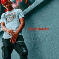 DISS LINKDAMAGI