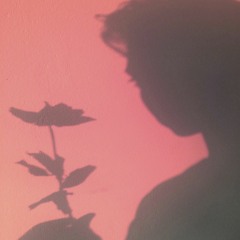 Timmy Tunes📻✨🐐