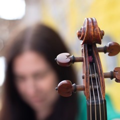 'Will you try these on?'